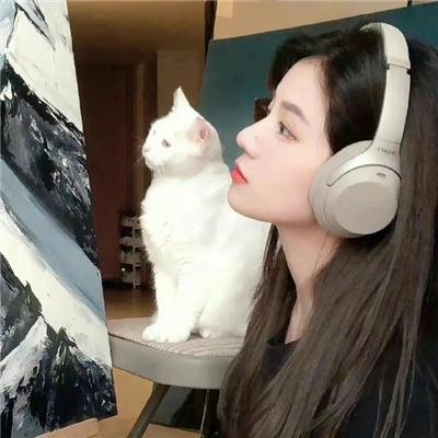 北方小镇奇谈